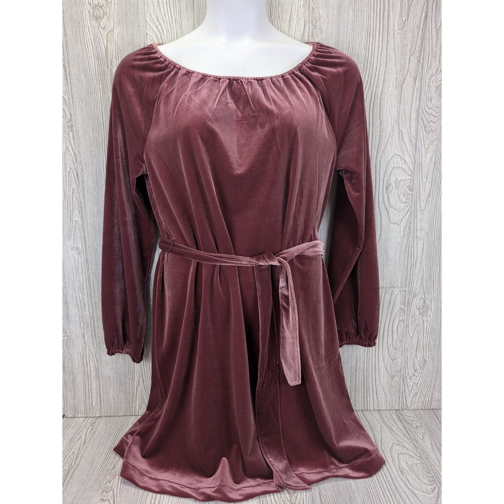 Lands End Velvet Dress Women Medium 10-12 Mauve Belt Jewel Victorian Whimsigoth